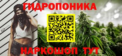 2c-b Можга
