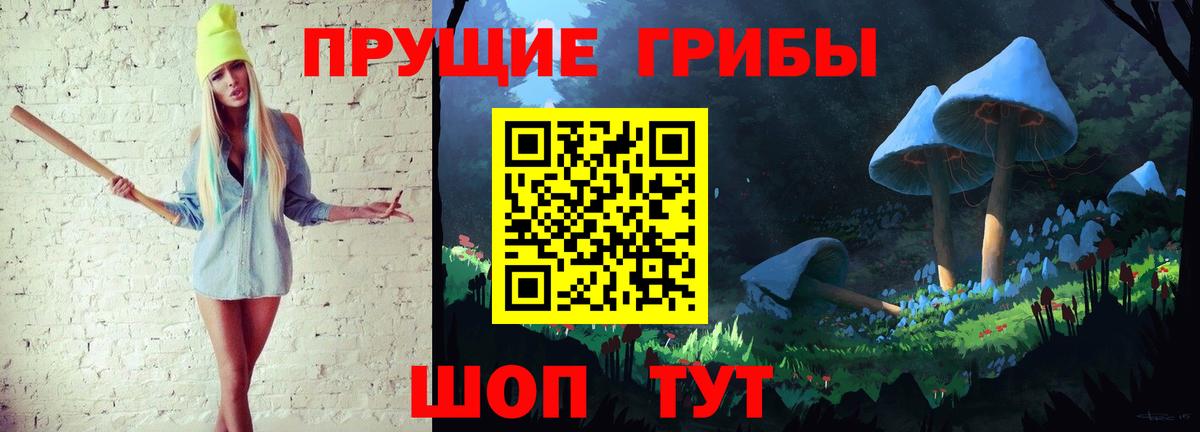 Псилоцибиновые грибы Psilocybine cubensis  Вход с VPN  Видное 