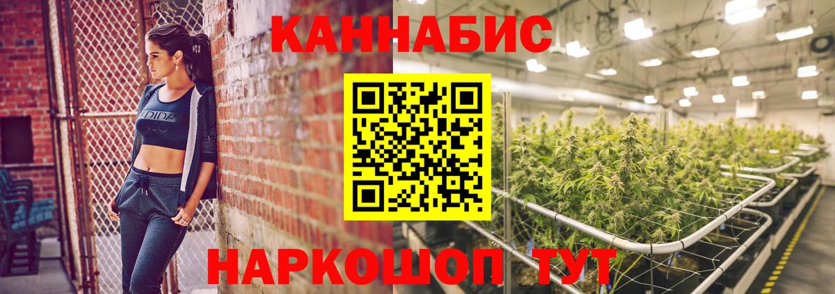 Каннабис сатива Видное